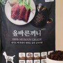 올바른펫 이미지