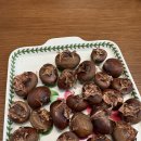 국보목장 | 강원도 평창 가족여행 코스 추천｜발왕산 케이블카·대관령양떼목장·월정사까지 (형부 찬스)