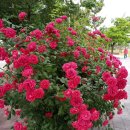 계양체육관 이미지