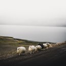 4차 산업혁명과 스마트 팜 이미지