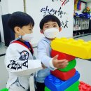국가대표 태권도 키즈 네이버블로그