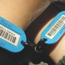 시스템당구나라 이미지