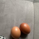 내청 | 2025년 09월 일상 - 제육지옥, 미소아줌마 후기