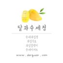 달과청