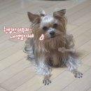 도기키친 프롬제주 이미지