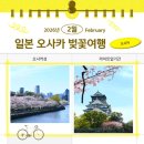 29셀프크리닝 | 2026 일본 오사카 여행 벚꽃 개화 만개 축제 시기. 오사카성 라이트업 난바 호텔 숙소