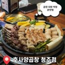 씨유청주사천대창점 | 복대동곱창 내돈내산 후기 : 호사양곱창 청주점