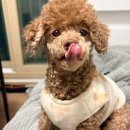 아이템아이 | 장패드주문제작으로 완성한 귀여운 데스크테리어 아이템, 아이텐션 마우스패드제작 후기