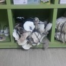 주식회사 신수 이미지