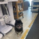 씨유 목포하당현대점 | [목포]“벨라미” 하당 피부관리실,어깨&amp;승모근 마사지,웨딩&amp;산후관리 피부샵 추천,후기