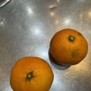 벙개막창행신 티스토리