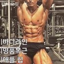 더 레오 핏 이미지