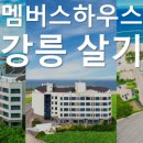 강릉애견하우스 이미지