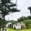 남양주애견운동장 기지개에서 견생사진 찍고 프사바꿨어요