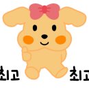 송이애견 이미지