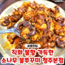 동남신발 | 청주 쭈꾸미 맛집 불맛 제대로인 '소나무 불쭈꾸미 청주본점' 동남지구 맛집 방문 후기♥