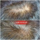 예쁜여우뷰티 이미지