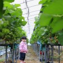 혜연농장 이미지