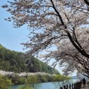 오전2리생달 이미지