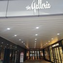 영월동물복지농장 이미지