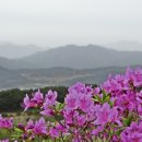 지리산미소가 이미지