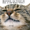 멕코이치킨 이미지