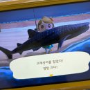 하늘멍가 | [D+82 ~ 104] 오사카 가나디 팝업 | 워홀 현타? | 바이토 면접 | 가족들과 함께하는 오사카 일상