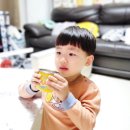 희석목장 이미지