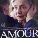 아무르(amour) Daum카페