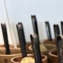 중앙대로4L | 쇼그렌증후군 치료, 관리까지 함께하면 이렇게 바뀝니다