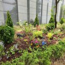 행복한 정원 이미지