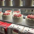마포 도화동 디저트 카페 : 크림라벨 마포도화점 방문 후기