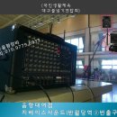 대구조야초등학교 이미지
