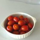 대추농장 | 꼭지없는 고당도 고랭지 대추방울토마토 - 치악산쌍둥인농장 대추방울토마토