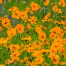 남도여행 에필로그 이미지