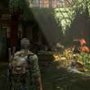 반딧불이 호텔 이미지