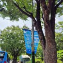 시 지정게시대(가로형 게시대) | 현장 설치 전 꼭 알아야 할 현수막 게시대 사이즈와 활용 기준 정리