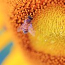 구와우농장 이미지