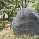 신트리공원(테니스장) 이미지