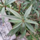 발리모텔 이미지