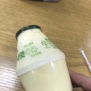 마금산원탕보양온천 이미지