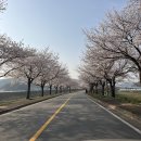 청남면사무소 이미지