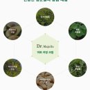 초등학생 건조한피부 아토피피부 딸 보습크림아마란스 닥터 마젤로아토카밍크림 (사용후기)