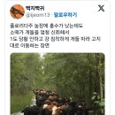 홍수농장 Daum카페