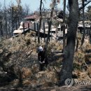 소나무PC방 이미지