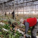 기봉농장 이미지