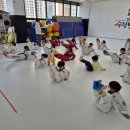 충남2태권도장 이미지