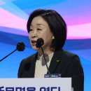 다스디자인주
