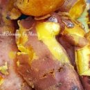 마리네 농장 이미지