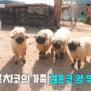 베들레헴농장